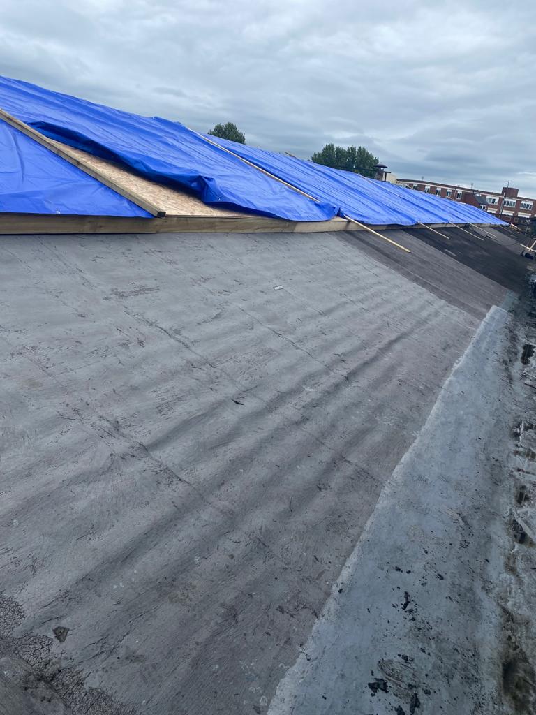 Firestone Rubber Roof